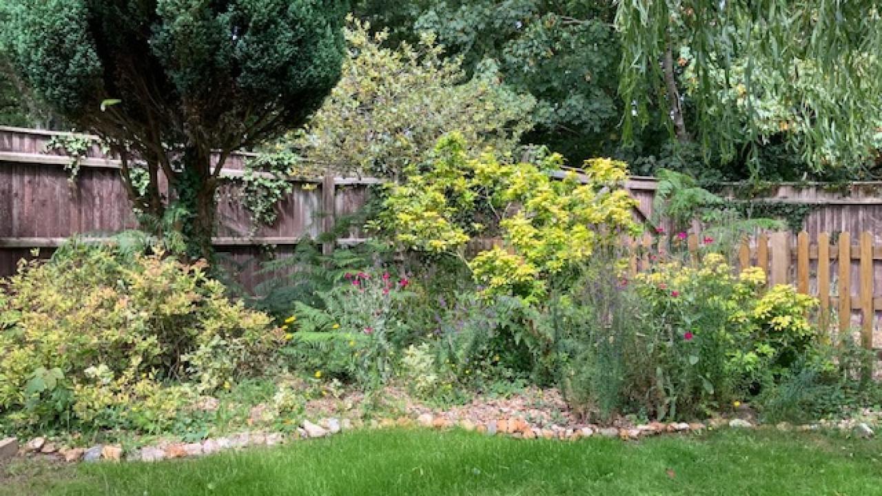 Holiday home The Willows Christchurch (Dorset)